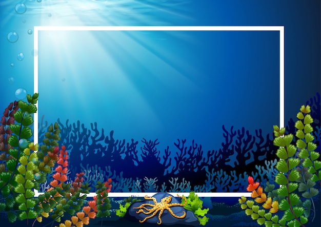 Border template with seaweeds underwater