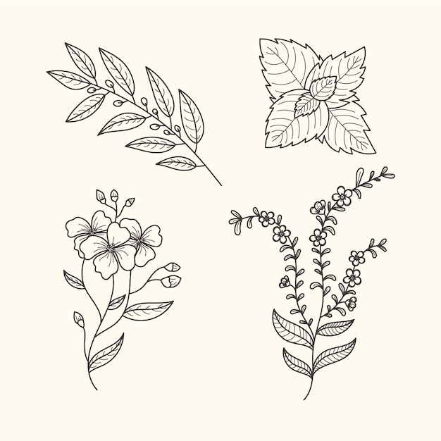 Botanic herbs and flowers vintage style