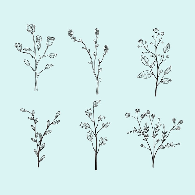 Free vector botanic herbs & wild flowers in vintage style