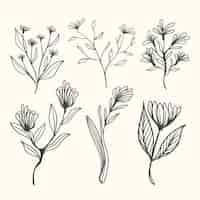 Free vector botanic herbs & wild flowers in vintage style