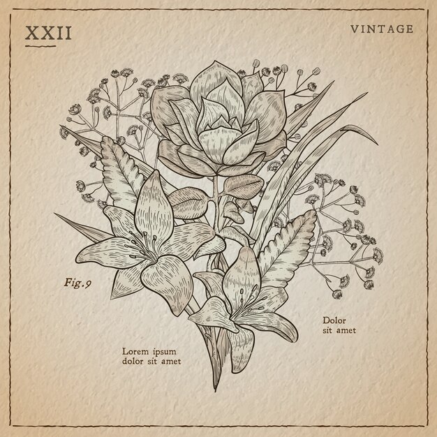 Botanic herbs & wild flowers in vintage style