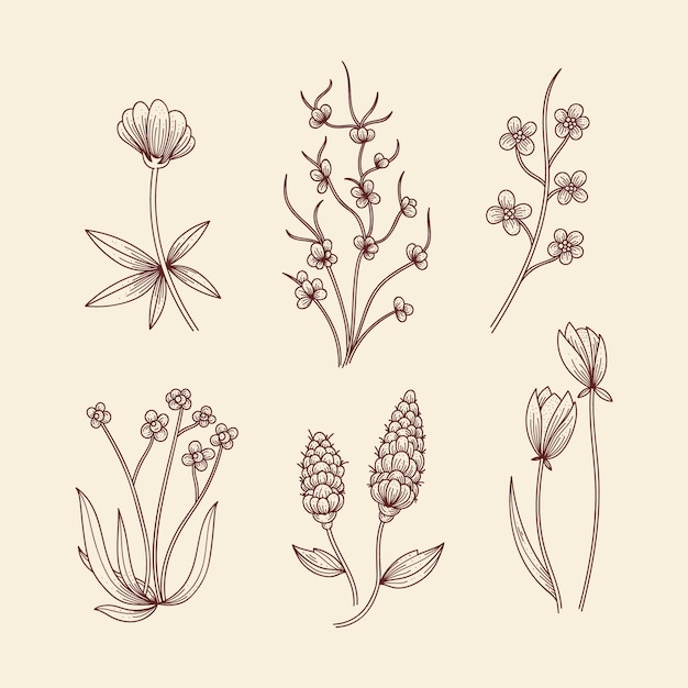 Ботанические травы и полевые цветы в винтажном стиле