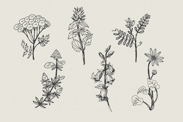 植物性ハーブとビンテージスタイルの野生の花