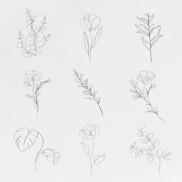 Botanic line art flowers  minimal abstract drawings collection