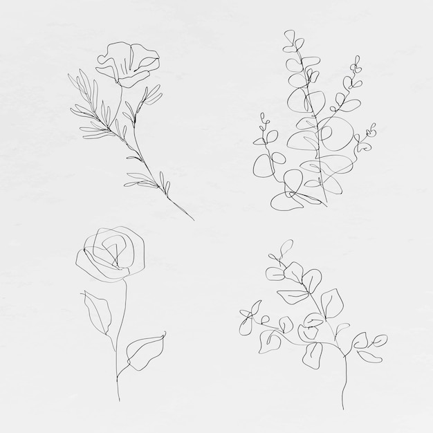 Botanic line art flowers vector minimal abstract drawings collection