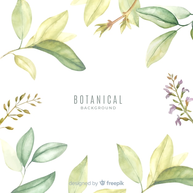 Free vector botanical background