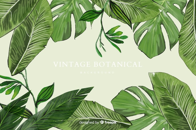 Free vector botanical background