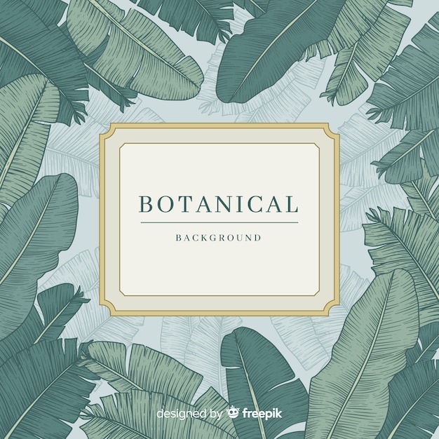 Botanical background