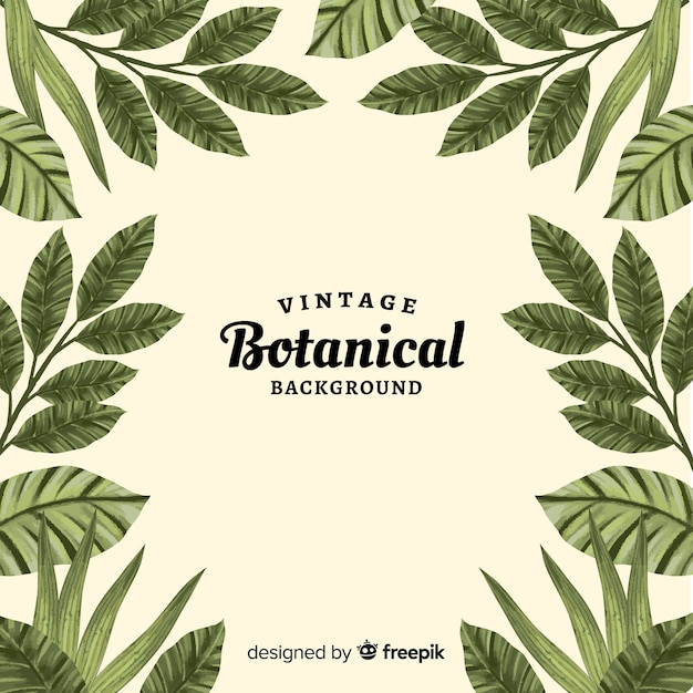 Botanical background