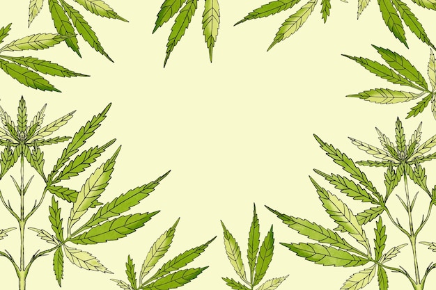 Fondo botanico della foglia della cannabis