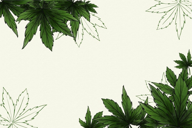 Botanical cannabis leaf background