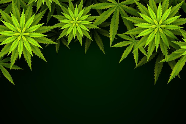 Botanical cannabis leaf background