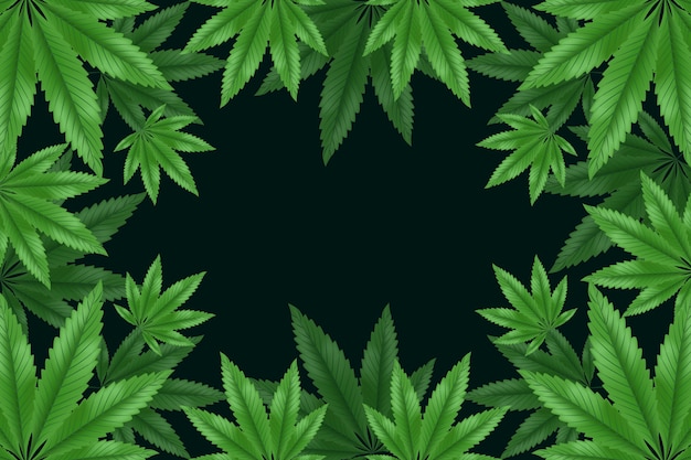 Botanical cannabis leaf background