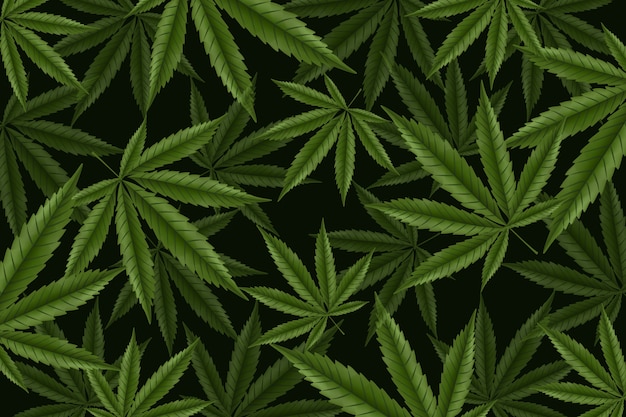 Botanical cannabis leaf background