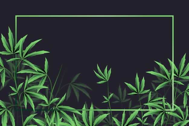 Botanical cannabis leaves background