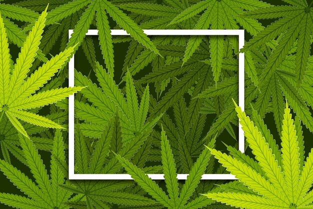 Botanical cannabis leaves background