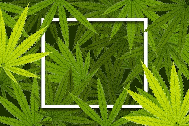 植物の大麻の葉の背景