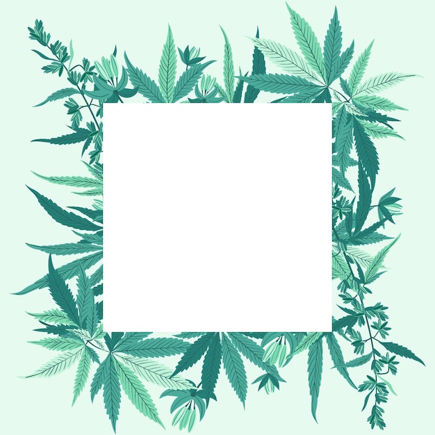 Botanical cannabis leaves background