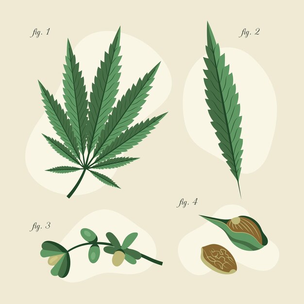 Botanical cannabis leaves pack