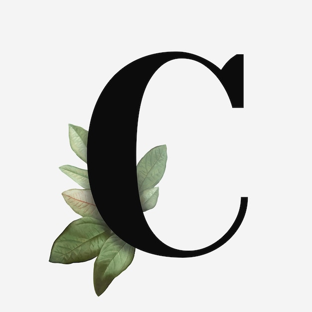 Botanical capital letter C vector