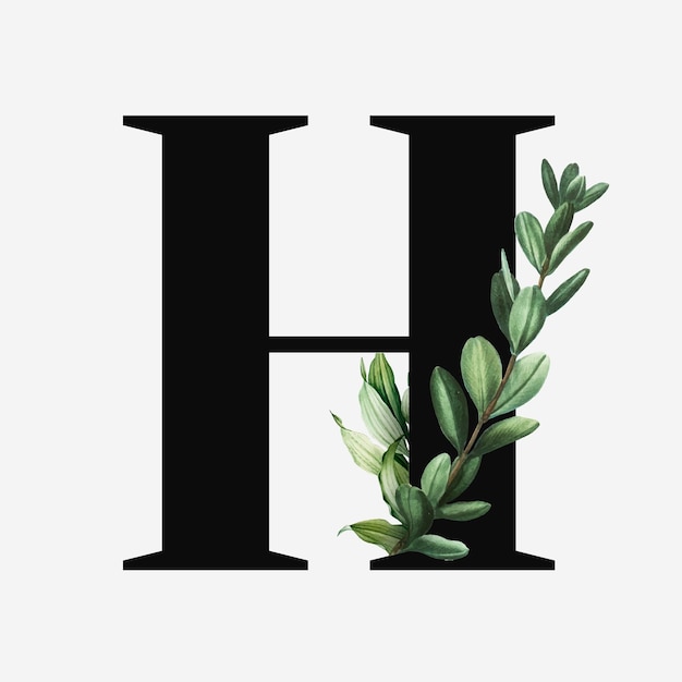 h font