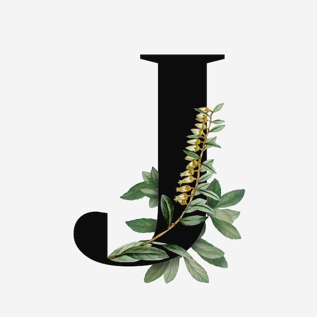 Free vector botanical capital letter j vector