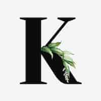 Free vector botanical capital letter k vector