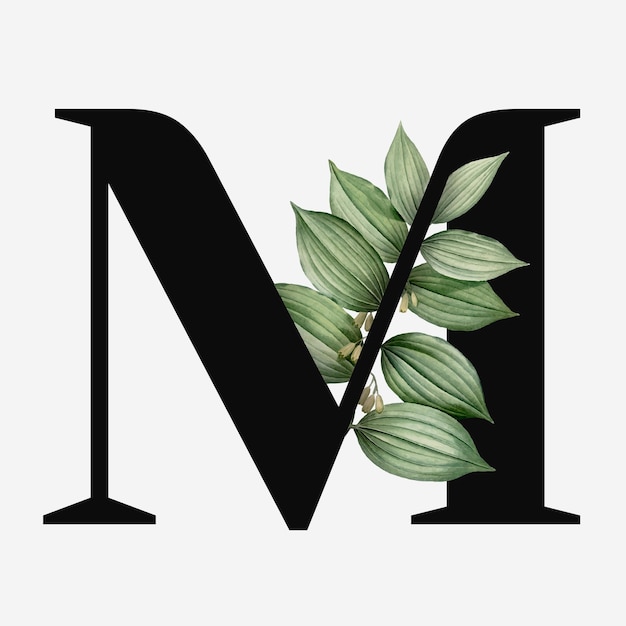 Botanical capital letter m