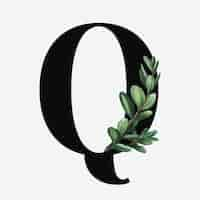 Free vector botanical capital letter q vector