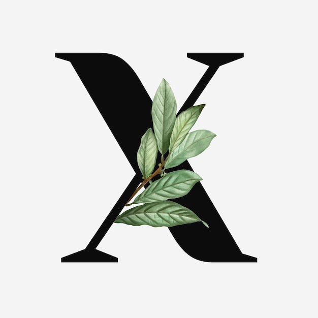 Vettore gratuito vettore botanico della lettera x maiuscola
