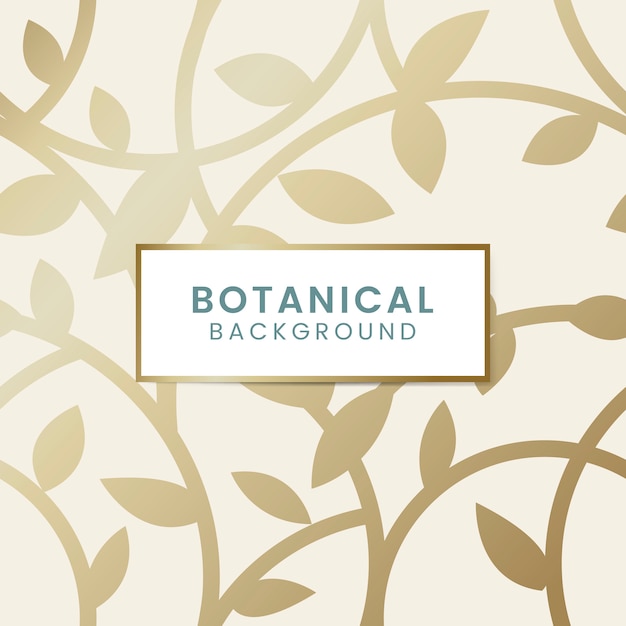 Botanical floral illustration