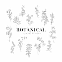 Free vector botanical floral mockup illustration