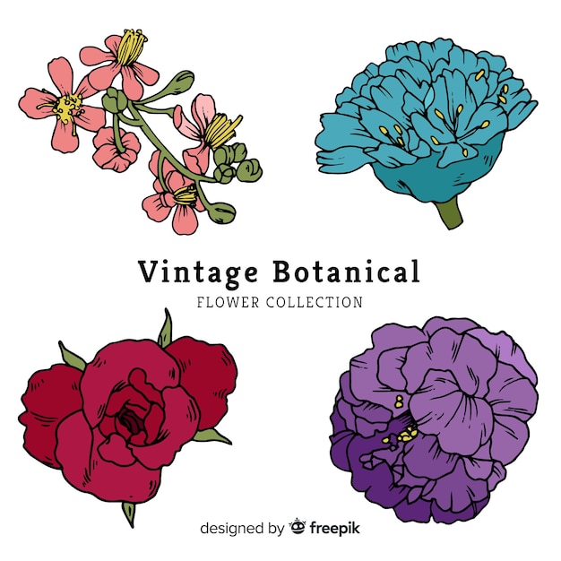 Бесплатное векторное изображение Ботаническая коллекция цветов и листьев
