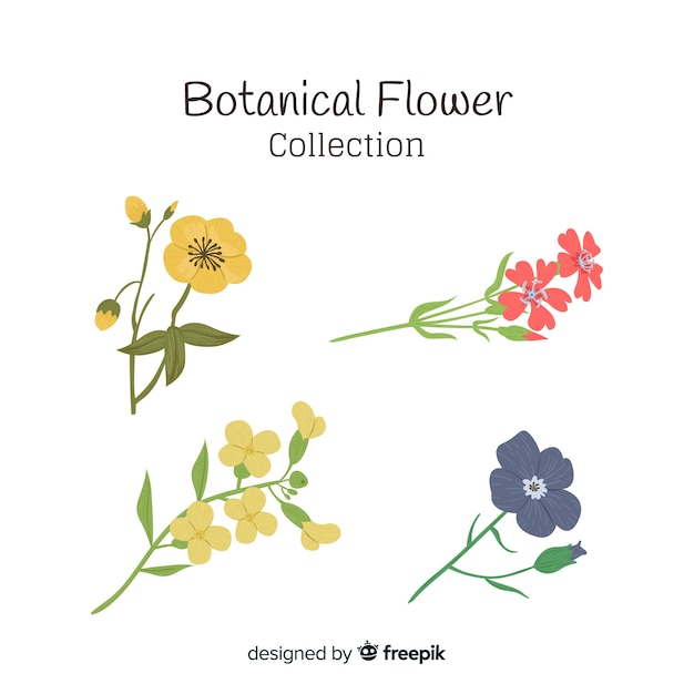 Ботаническая коллекция цветов
