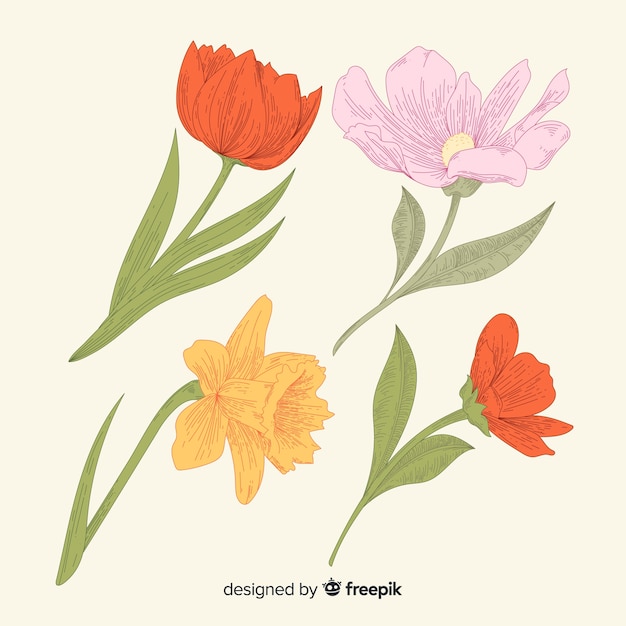 Free vector botanical flower and leaves collection