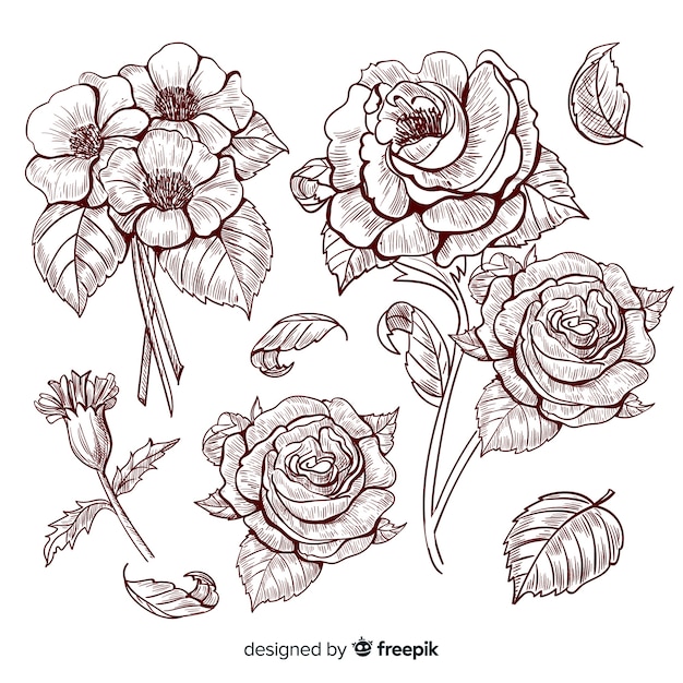 Free vector botanical flower and leaves collection