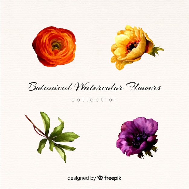 Free vector botanical flower and leaves collection