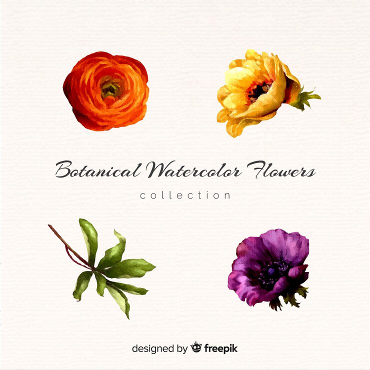 Free Vector botanical flower and leaves collection