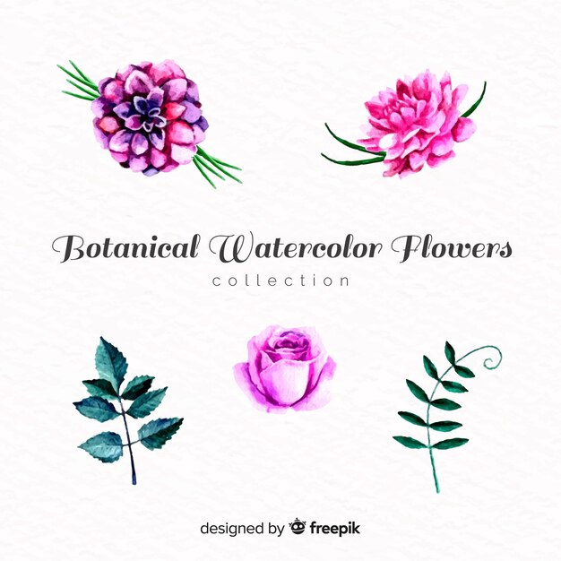 Botanical flower and leaves collection