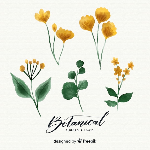 Free vector botanical flower and leaves collection