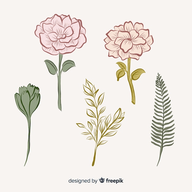 Free vector botanical flower and leaves collection