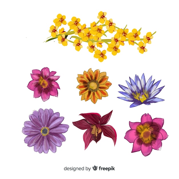 Free vector botanical flower and leaves collection