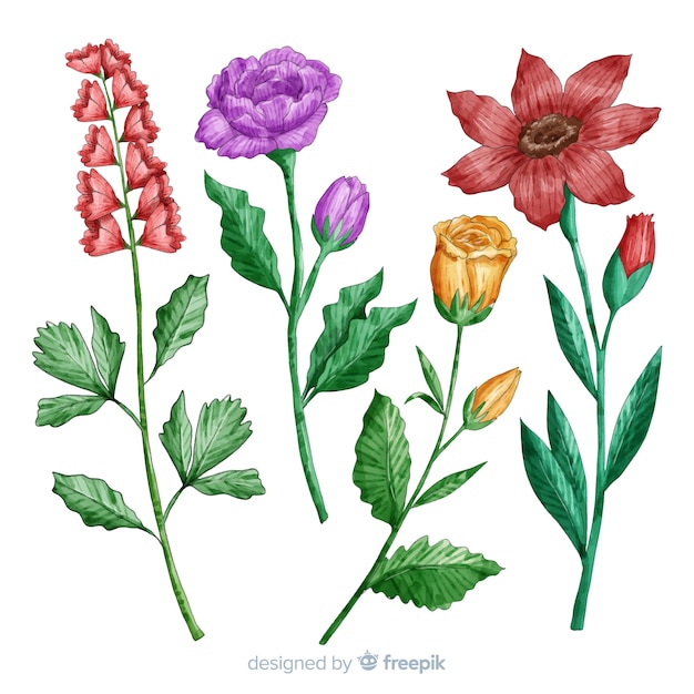 Ботаническая коллекция цветов и листьев