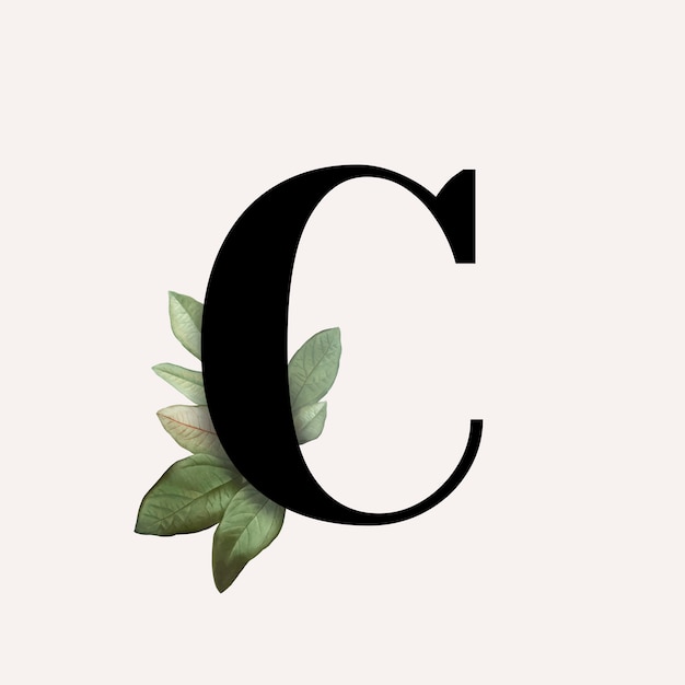 Free vector botanical font letter c