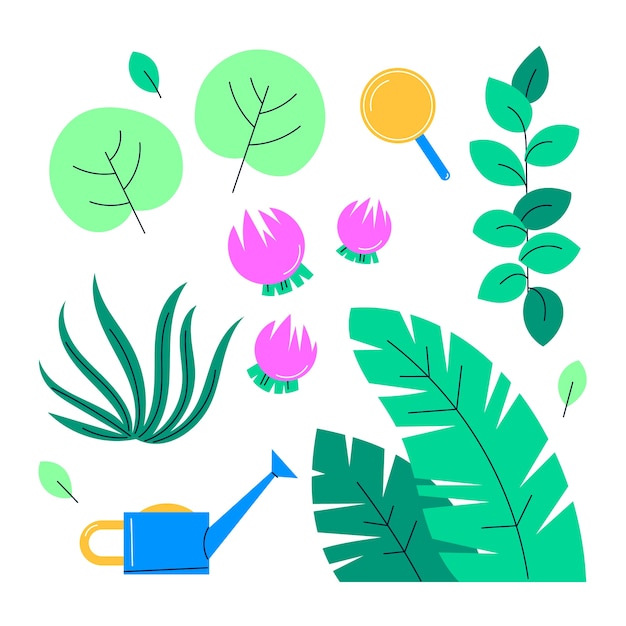 Free vector botanical garden element collection