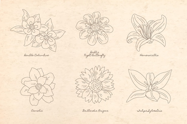 Free vector botanical garden element collection