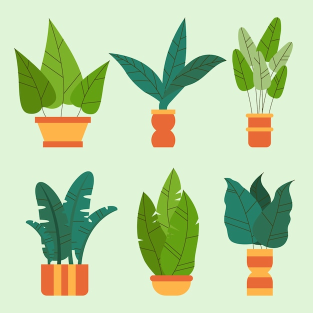 Free vector botanical garden element collection