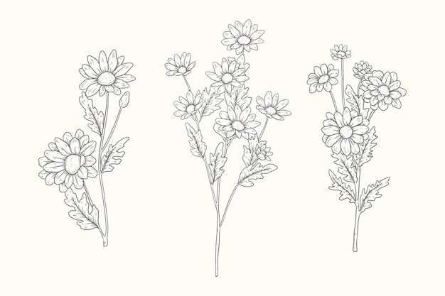 Free vector botanical garden element collection