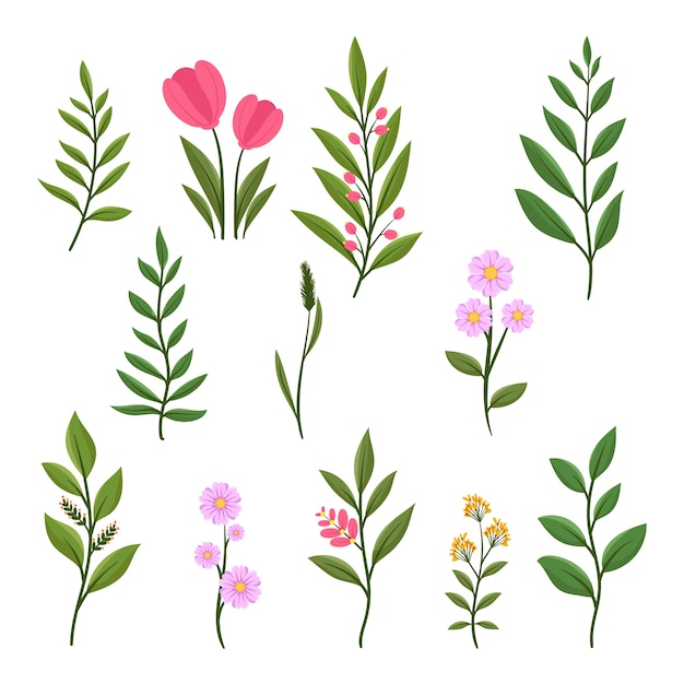 Free vector botanical garden element collection