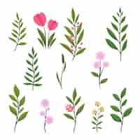 Free vector botanical garden element collection